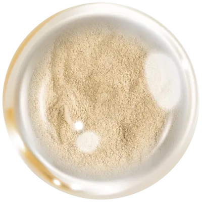 Pure-Baicalin™ (Scutellaria Baicalensis Root Extract,85% Baicalin)