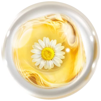Chamomile Extract